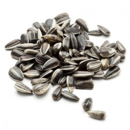 Chasku Seeds 385/100gm