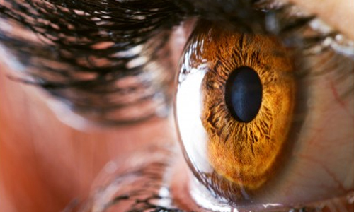 Tips for improving Eyesight with Ayurvedic Herbs 