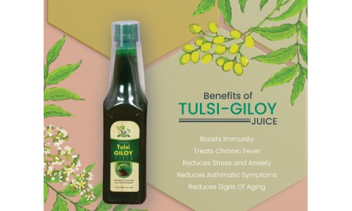 Health benefits of Tulsi Giloy juice